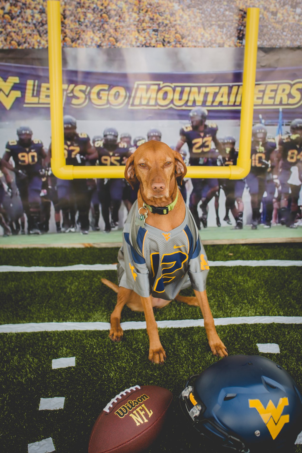 WVU football ready at Pampered 4 Paws